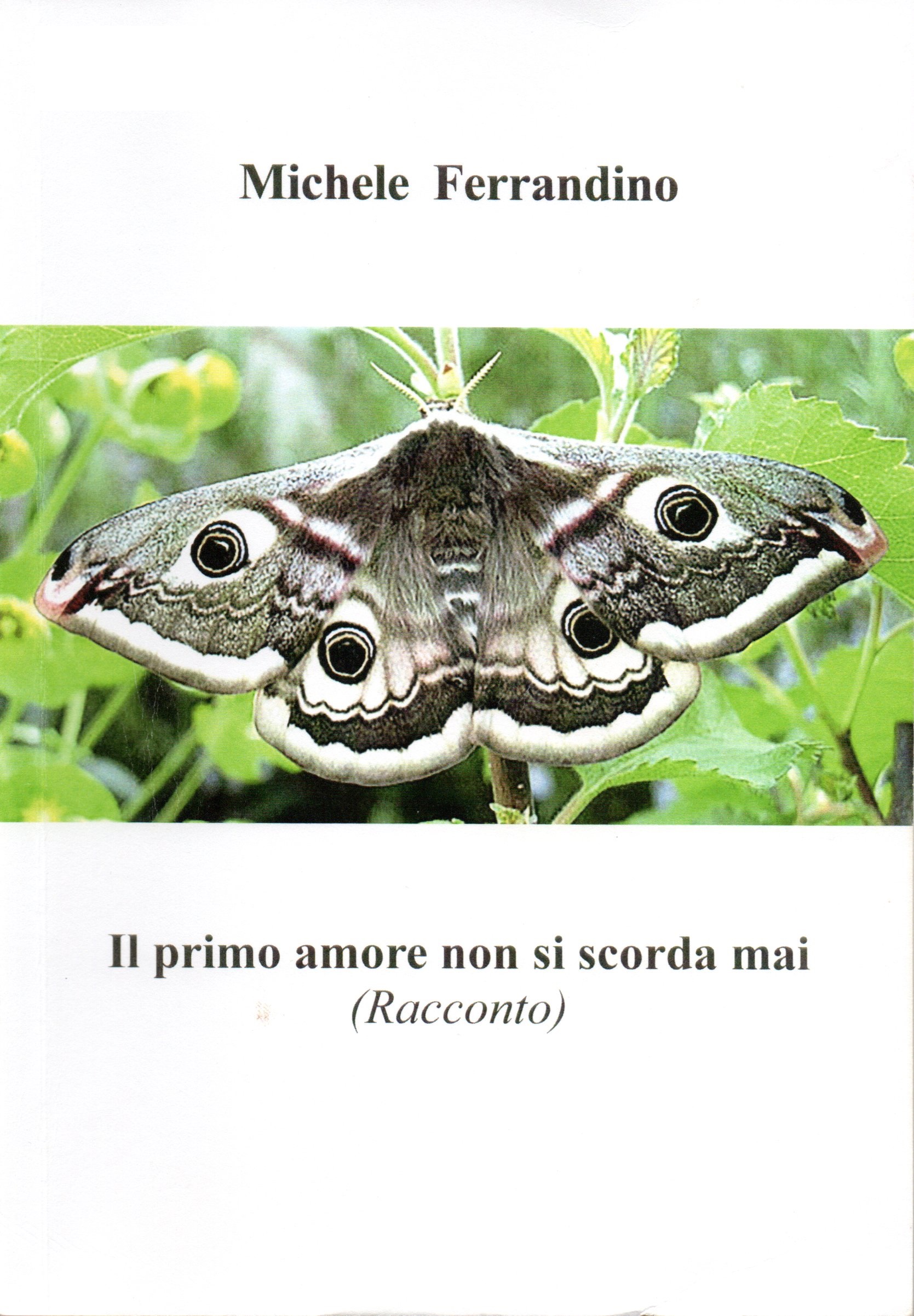 Copertina Il primo amore non si scorda mai